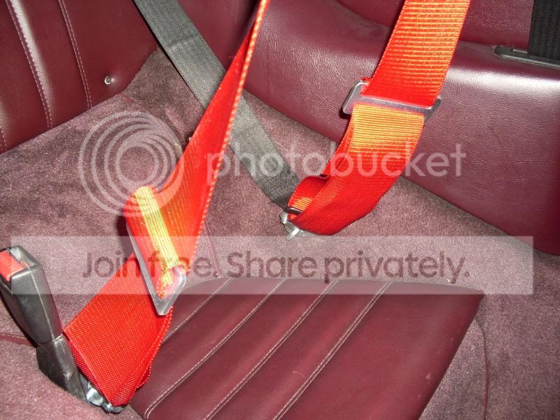 UK street legal 4 point harness Rennlist Porsche Discussion Forums